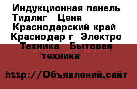 Индукционная панель Тидлиг › Цена ­ 12 000 - Краснодарский край, Краснодар г. Электро-Техника » Бытовая техника   